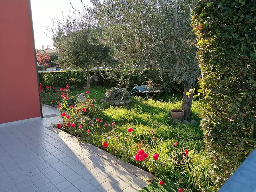 Immagine 19 di Appartamento in vendita  in Bellocchi a Fano