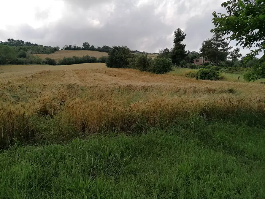 Immagine 6 di Rustico / casale in vendita  in Villanova - Colli al Metauro a Colli Al Metauro