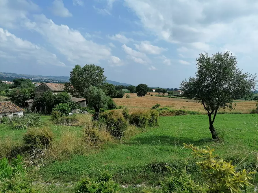 Immagine 7 di Rustico / casale in vendita  in Villanova - Colli al Metauro a Colli Al Metauro