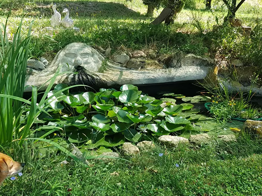 Immagine 25 di Villa in vendita  in Serrungarina a Colli Al Metauro