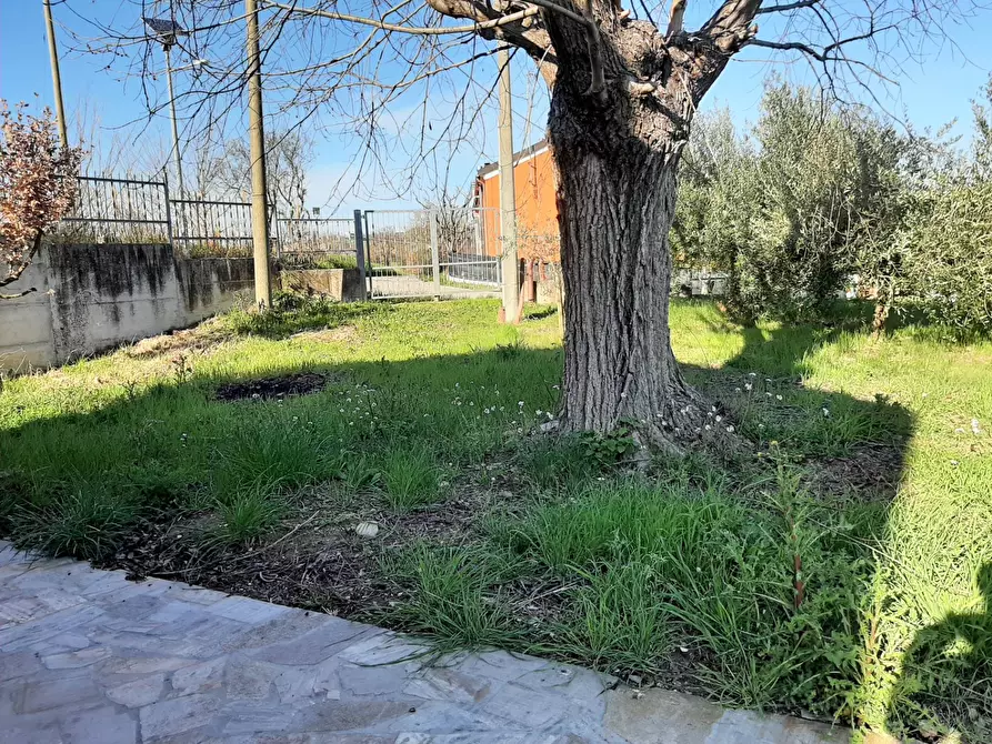 Immagine 22 di Casa semindipendente in vendita  in Via S. Anna a Cartoceto