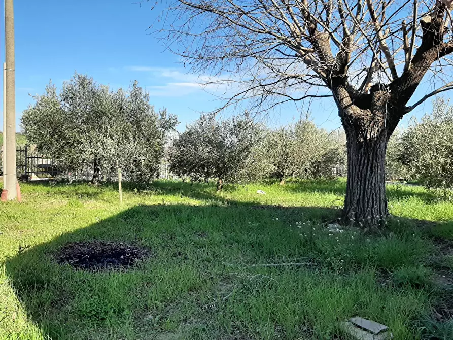 Immagine 23 di Casa semindipendente in vendita  in Via S. Anna a Cartoceto