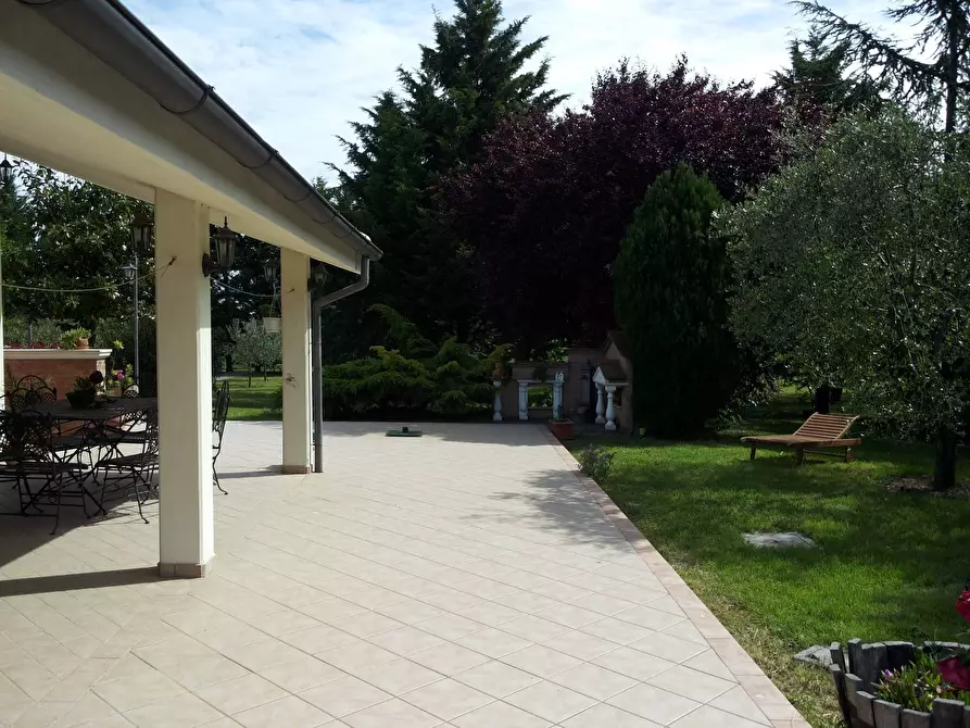 Immagine 4 di Villa in vendita  in Carrara a Fano