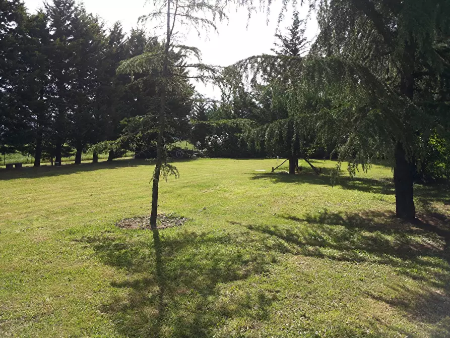 Immagine 8 di Villa in vendita  in Carrara a Fano