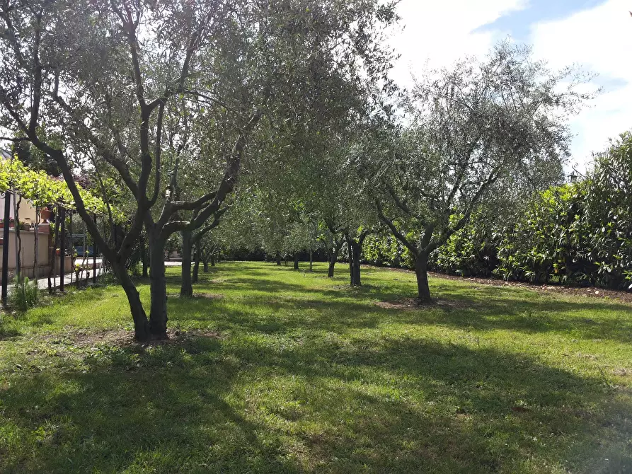 Immagine 10 di Villa in vendita  in Carrara a Fano