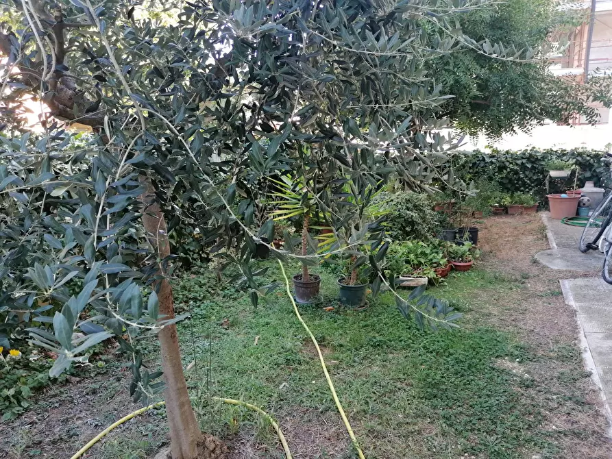 Immagine 27 di Appartamento in vendita  in Zona Coop a Fano