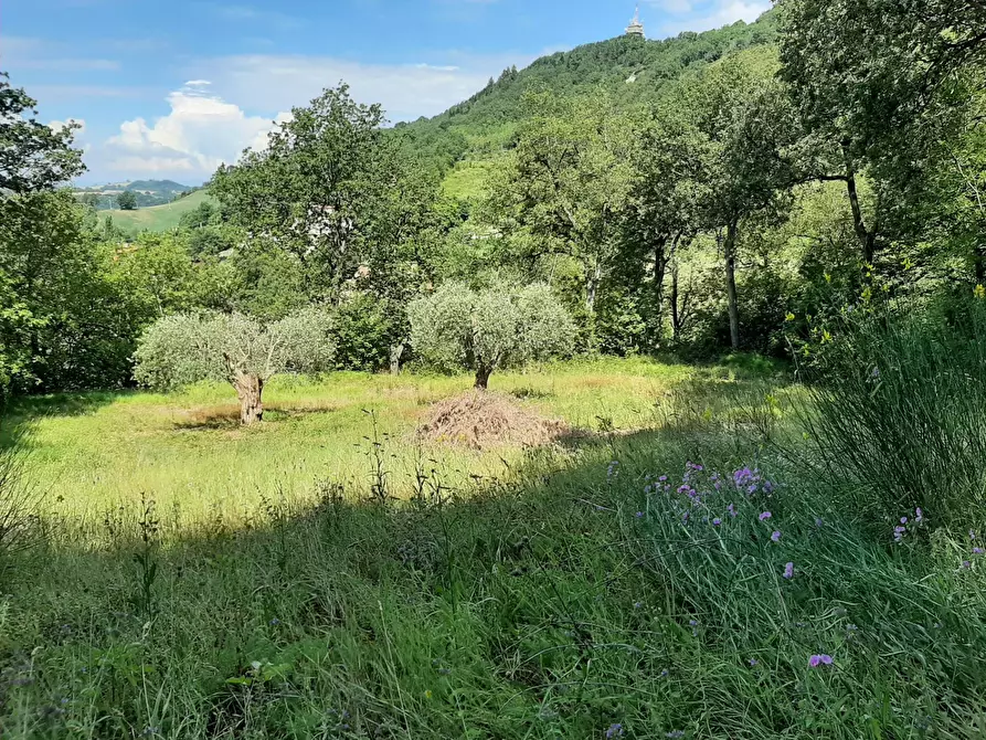 Immagine 22 di Rustico / casale in vendita  in Fontecorniale a Montefelcino