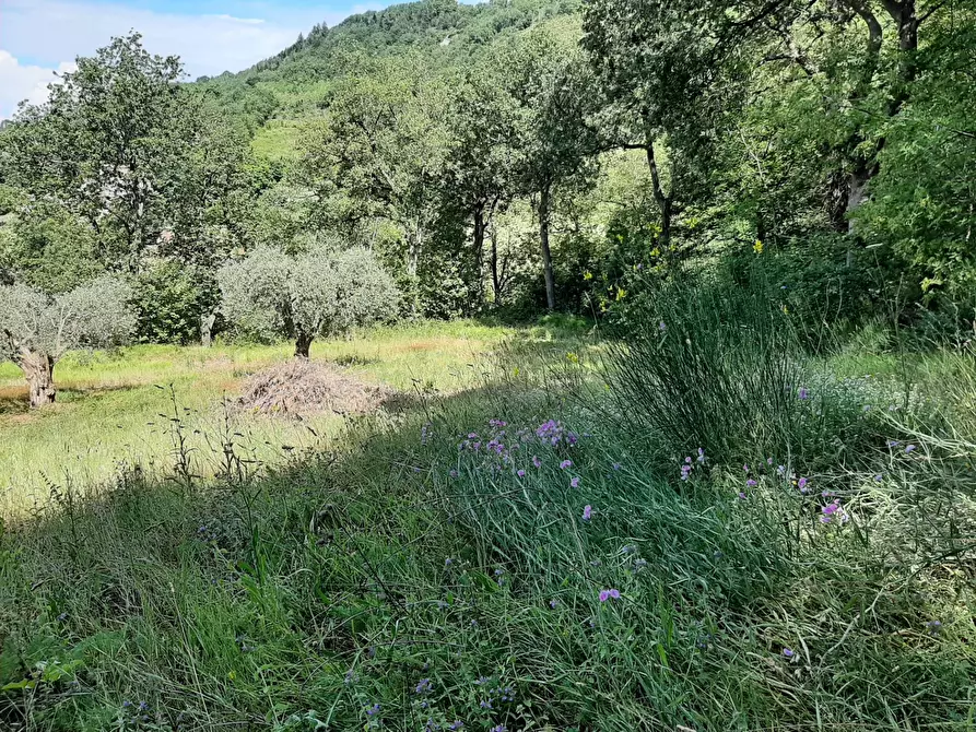 Immagine 23 di Rustico / casale in vendita  in Fontecorniale a Montefelcino