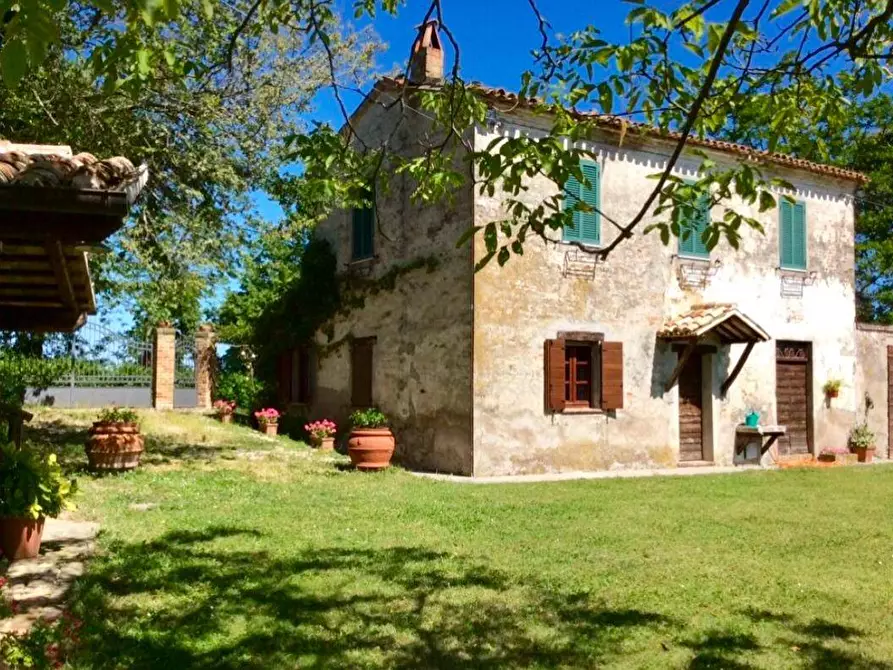 Immagine 21 di Rustico / casale in vendita  in Monteciccardo a Pesaro