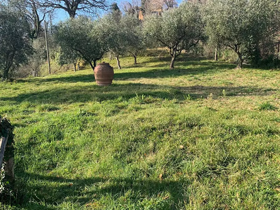 Immagine 27 di Rustico / casale in vendita  in Monteciccardo a Pesaro