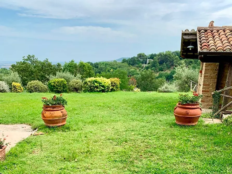 Immagine 28 di Rustico / casale in vendita  in Monteciccardo a Pesaro