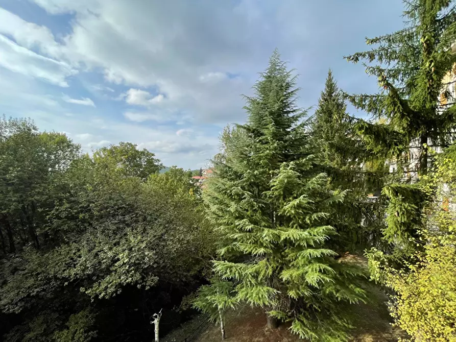 Immagine 9 di Appartamento in vendita  in Via Giangirone a Roburent