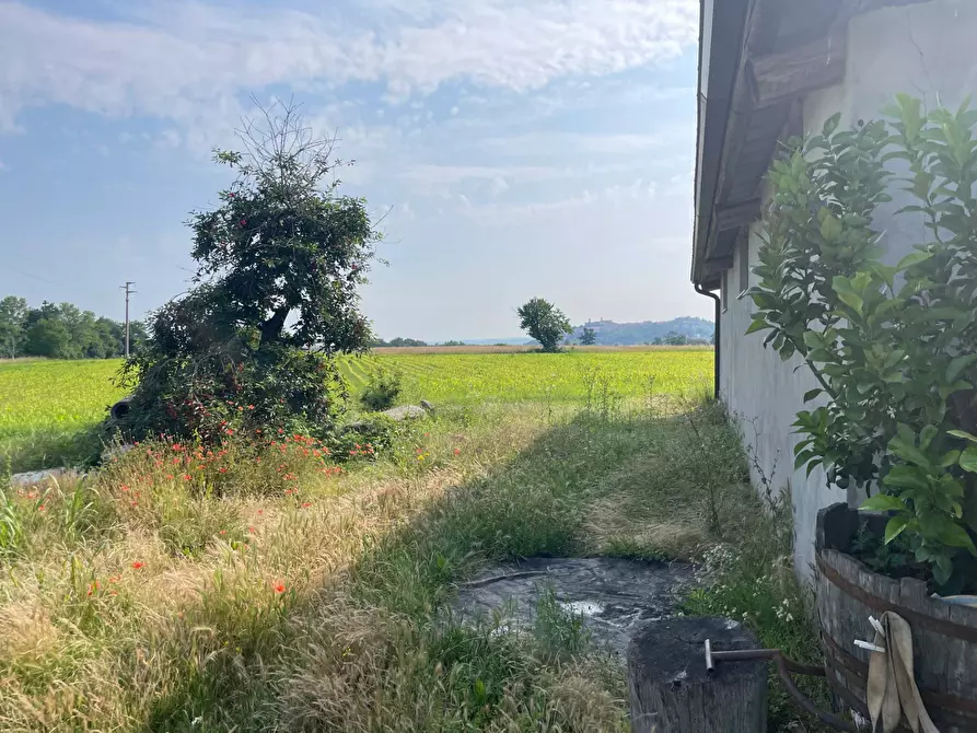 Immagine 8 di Terreno agricolo in vendita  in Strada prov.le Mondovì - Villanova a Mondovì