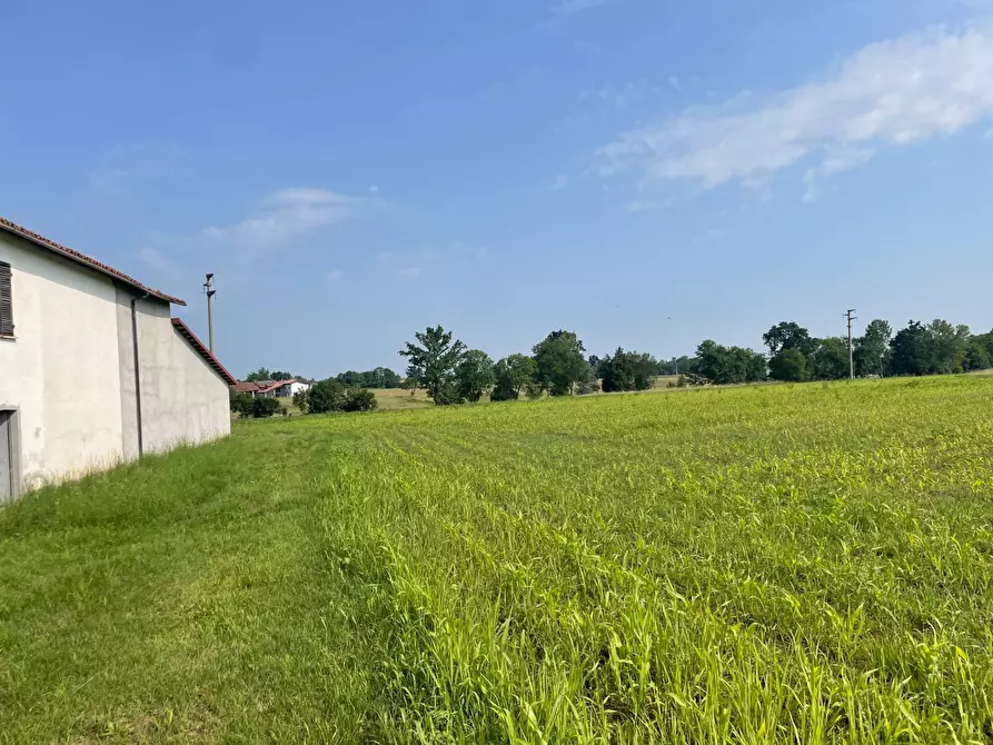 Immagine 3 di Terreno agricolo in vendita  in Strada prov.le Mondovì - Villanova a Mondovì