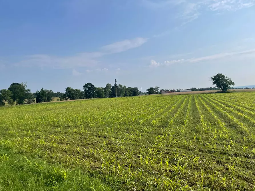 Immagine 18 di Terreno agricolo in vendita  in Strada prov.le Mondovì - Villanova a Mondovì