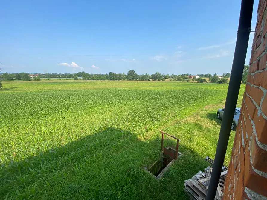 Immagine 23 di Terreno agricolo in vendita  in Strada prov.le Mondovì - Villanova a Mondovì