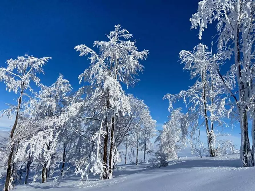 Immagine 22 di Appartamento in vendita  in Via Sant'Anna a Roburent