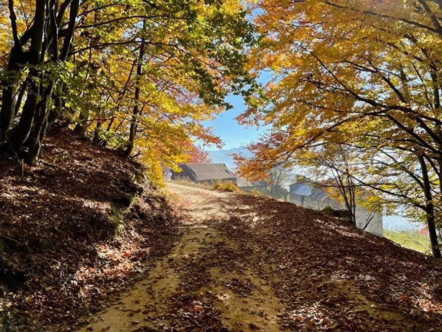 Immagine 24 di Appartamento in vendita  in Via Sant'Anna a Roburent