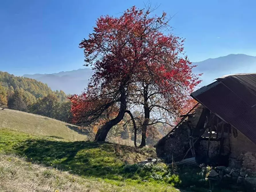 Immagine 24 di Camera in vendita  in Via Delle Manere a Roburent