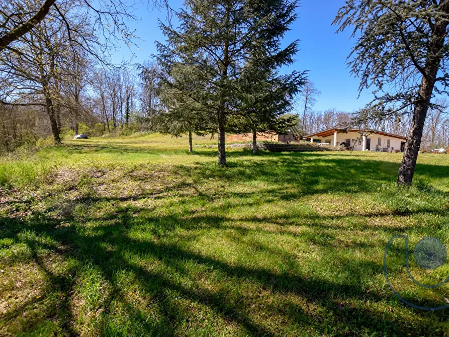 Immagine 12 di Casa indipendente in vendita  in Strada Cornaglione a San Paolo Solbrito