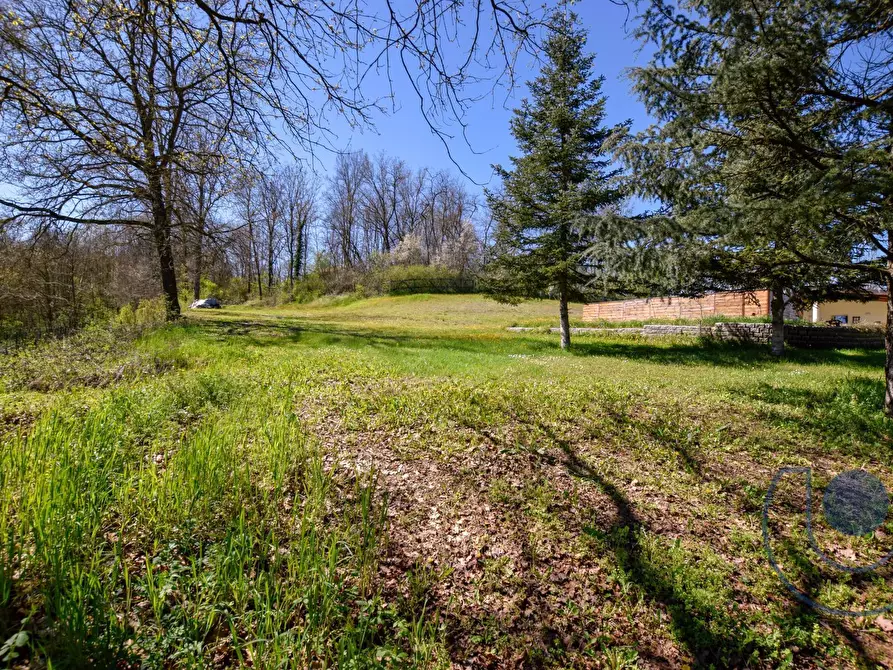 Immagine 13 di Casa indipendente in vendita  in Strada Cornaglione a San Paolo Solbrito