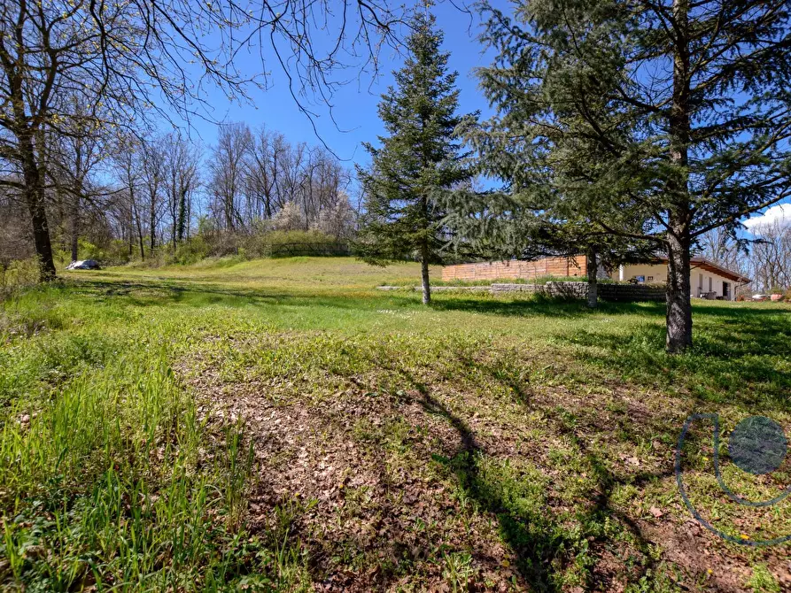Immagine 14 di Casa indipendente in vendita  in Strada Cornaglione a San Paolo Solbrito
