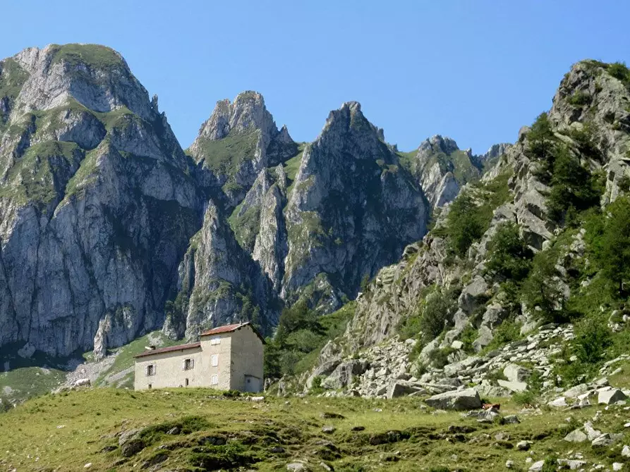 Immagine 1 di Terreno agricolo in vendita  a Garessio