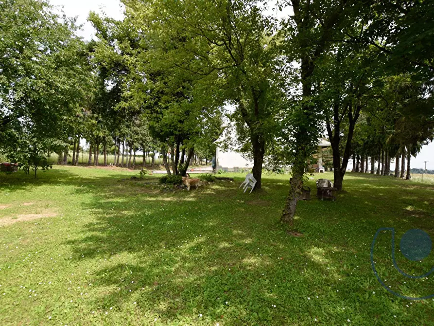 Immagine 12 di Villa in vendita  in Via Podio a Pino Torinese