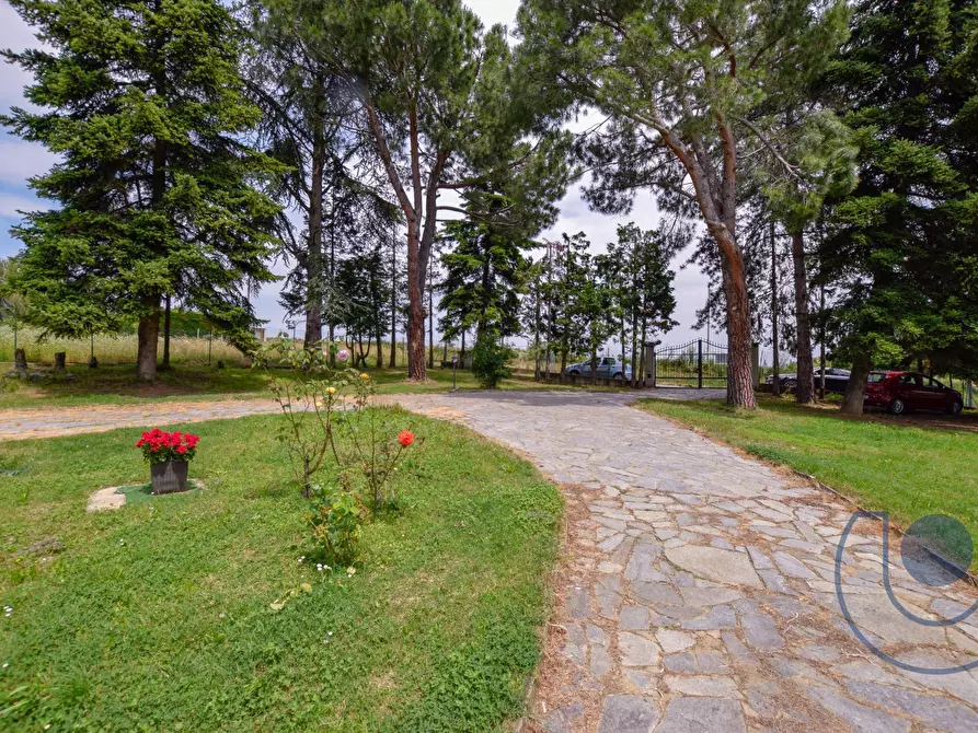 Immagine 17 di Villa in vendita  in Via Podio a Pino Torinese