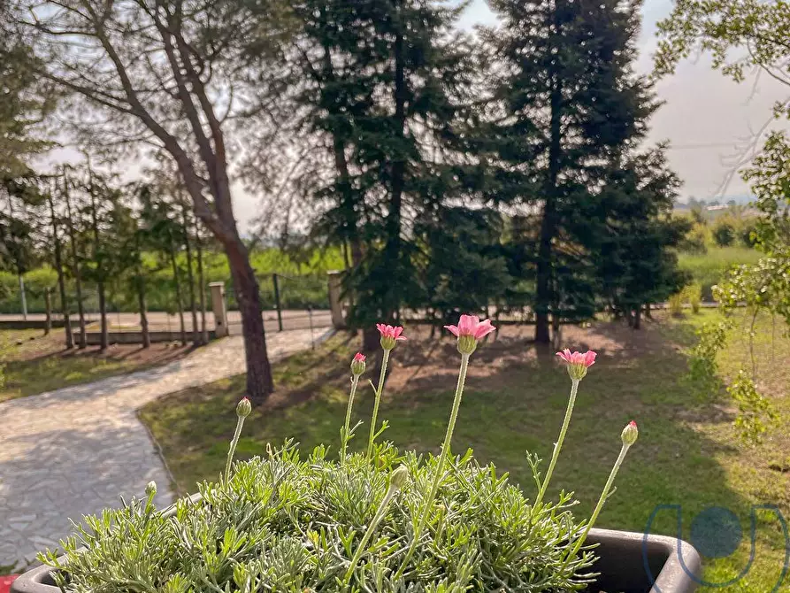 Immagine 21 di Villa in vendita  in Via Podio a Pino Torinese