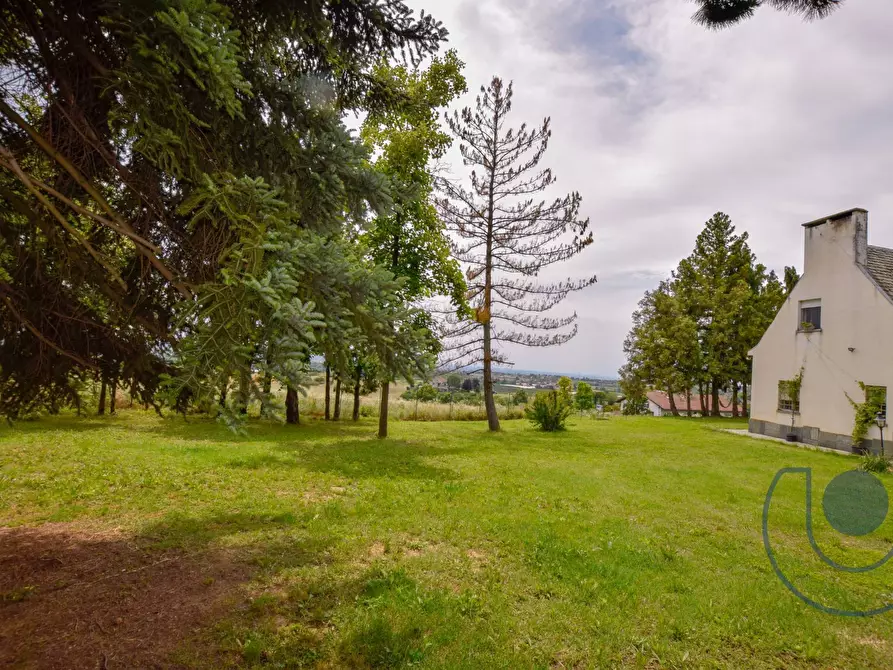 Immagine 22 di Villa in vendita  in Via Podio a Pino Torinese