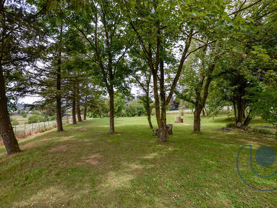 Immagine 23 di Villa in vendita  in Via Podio a Pino Torinese