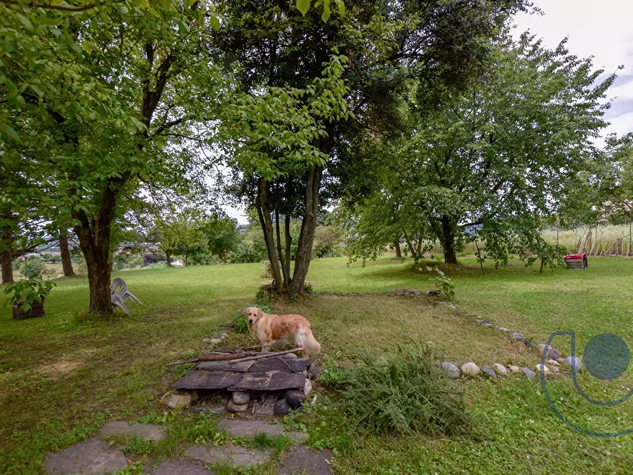 Immagine 24 di Villa in vendita  in Via Podio a Pino Torinese