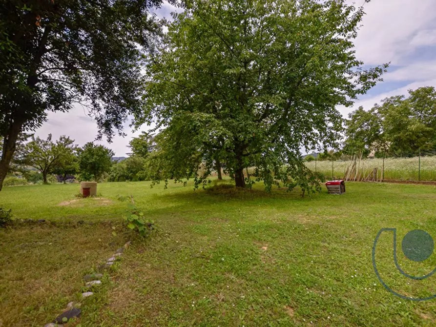 Immagine 25 di Villa in vendita  in Via Podio a Pino Torinese