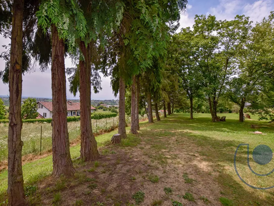 Immagine 26 di Villa in vendita  in Via Podio a Pino Torinese