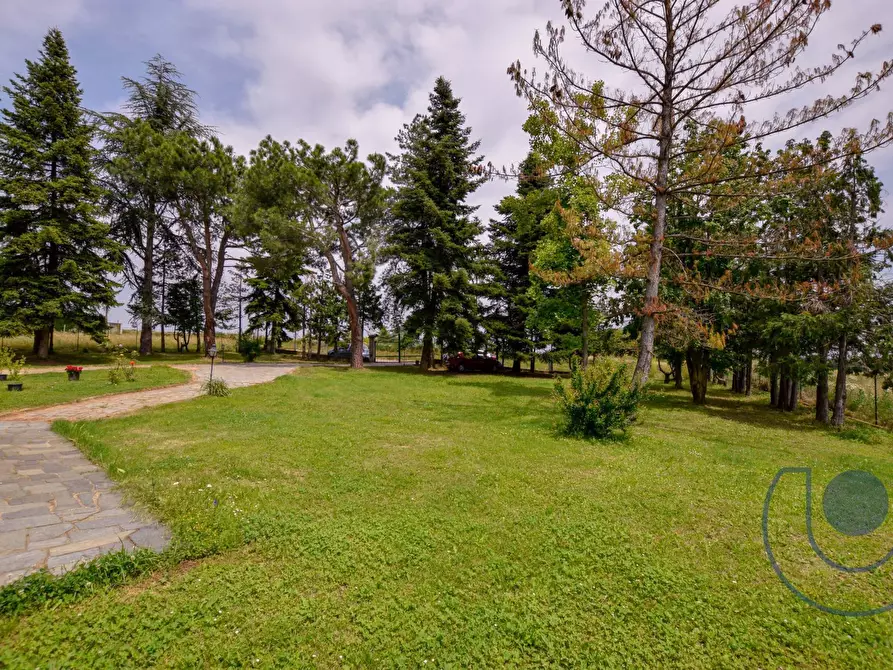 Immagine 28 di Villa in vendita  in Via Podio a Pino Torinese