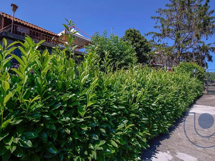 Immagine 2 di Attico in vendita  in Via Monviso a Pino Torinese