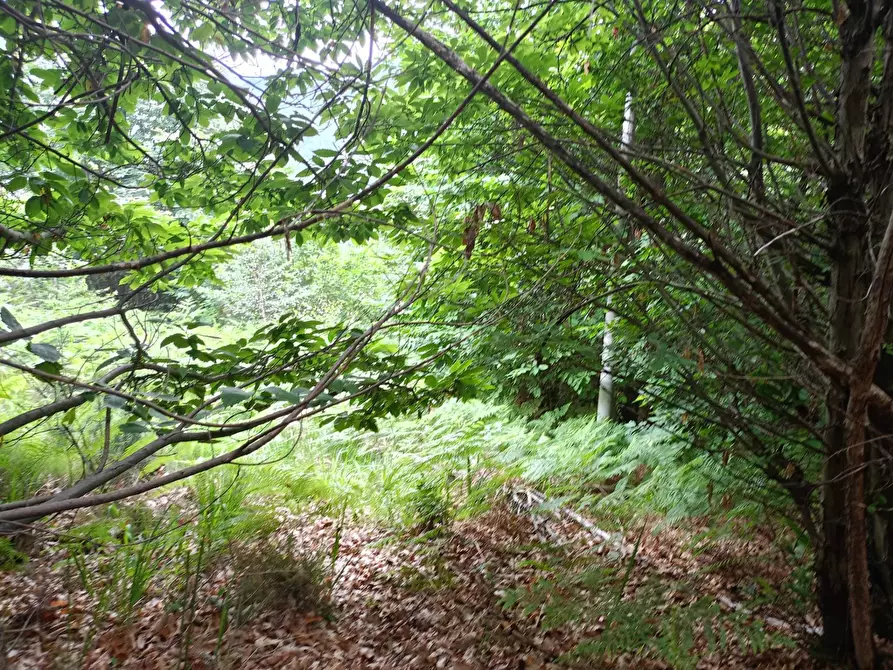 Immagine 1 di Terreno agricolo in vendita  in localita' Mortè a Roccaforte Mondovi'