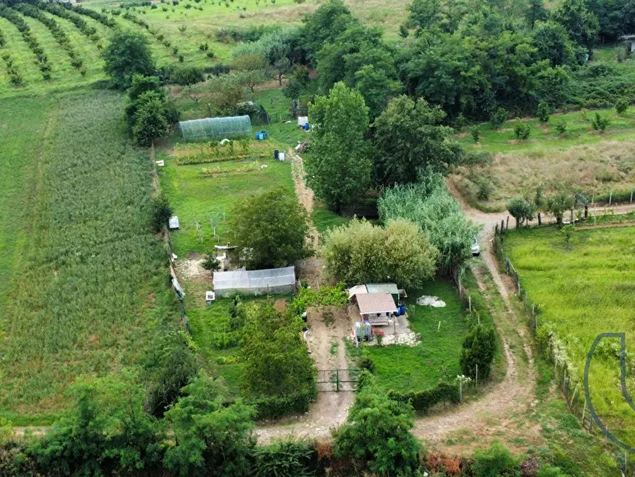 Immagine 4 di Terreno agricolo in vendita  in Via Buttigliera a Chieri