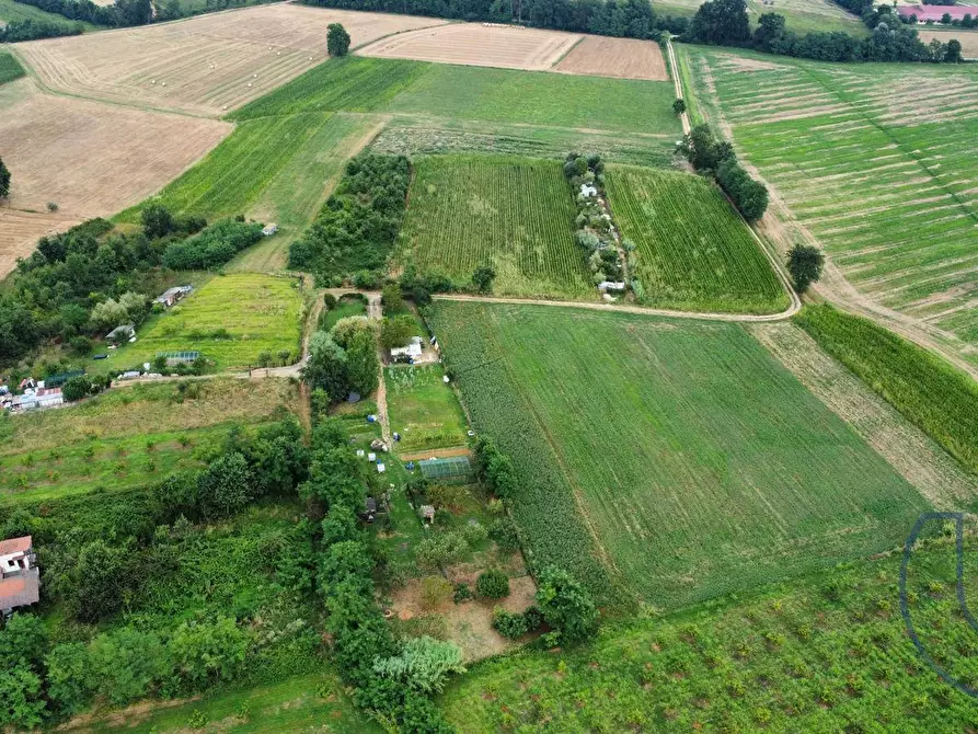 Immagine 5 di Terreno agricolo in vendita  in Via Buttigliera a Chieri