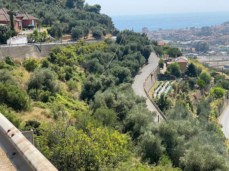 Immagine 9 di Terreno agricolo in vendita  in Strada Provinciale 51 a Taggia