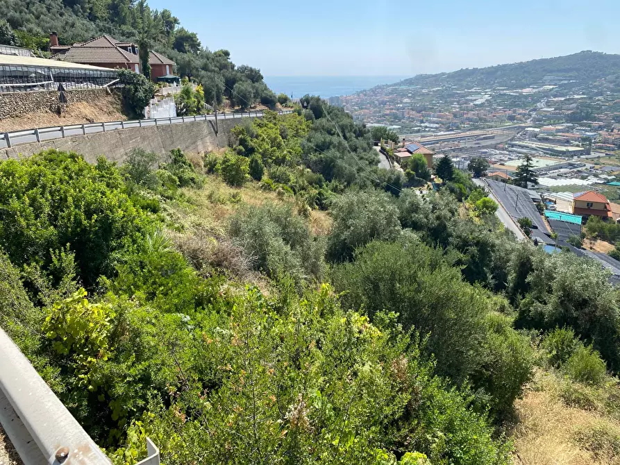 Immagine 10 di Terreno agricolo in vendita  in Strada Provinciale 51 a Taggia