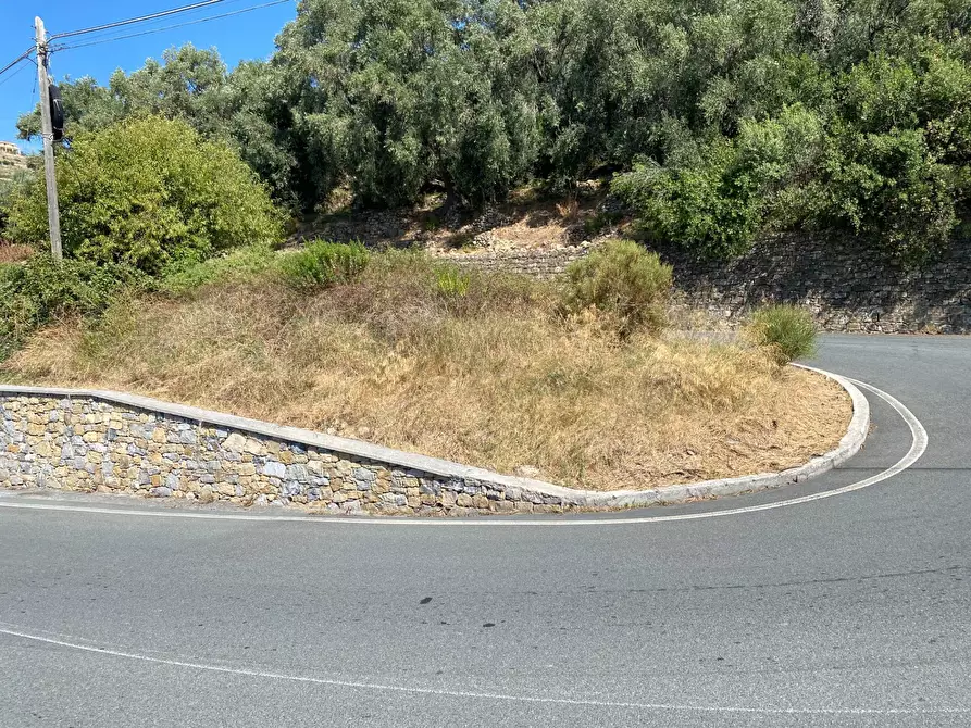 Immagine 15 di Terreno agricolo in vendita  in Strada Provinciale 51 a Taggia