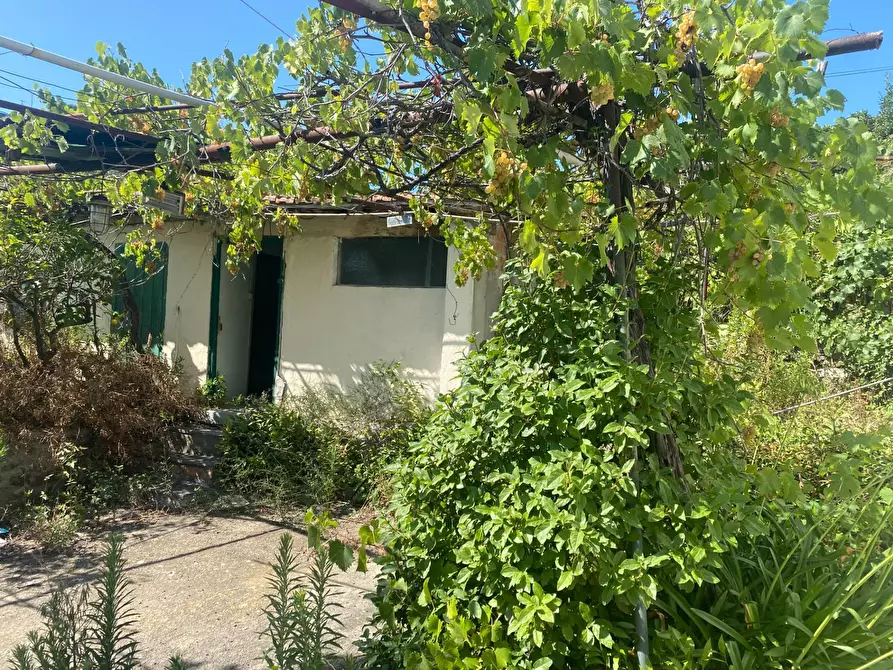 Immagine 12 di Casa indipendente in vendita  in via Ortassi a Santo Stefano Al Mare