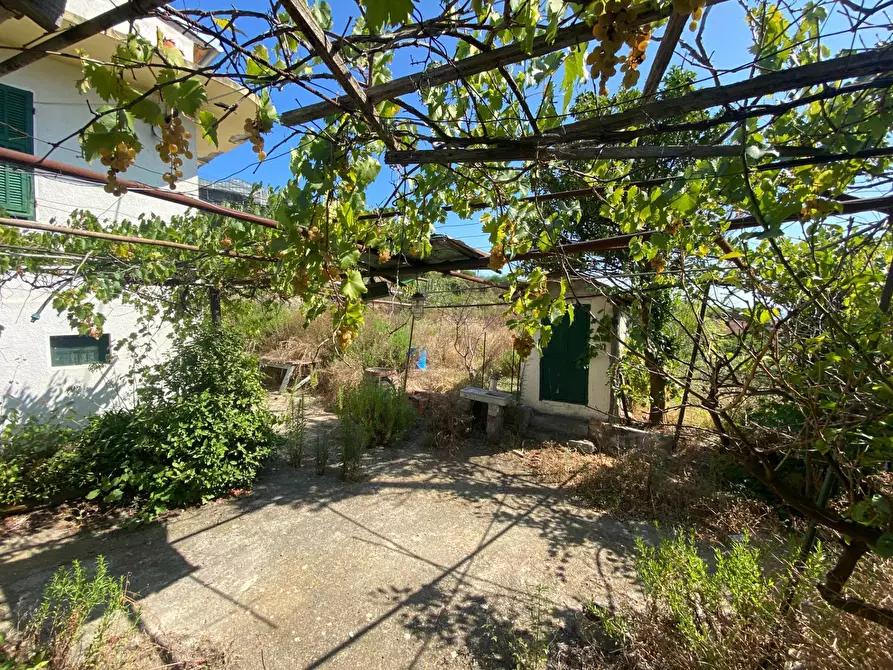 Immagine 14 di Casa indipendente in vendita  in via Ortassi a Santo Stefano Al Mare