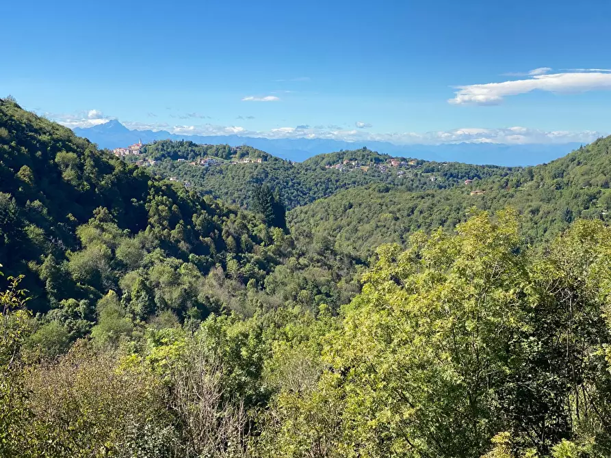 Immagine 3 di Appartamento in vendita  in Via Provinciale a Roburent