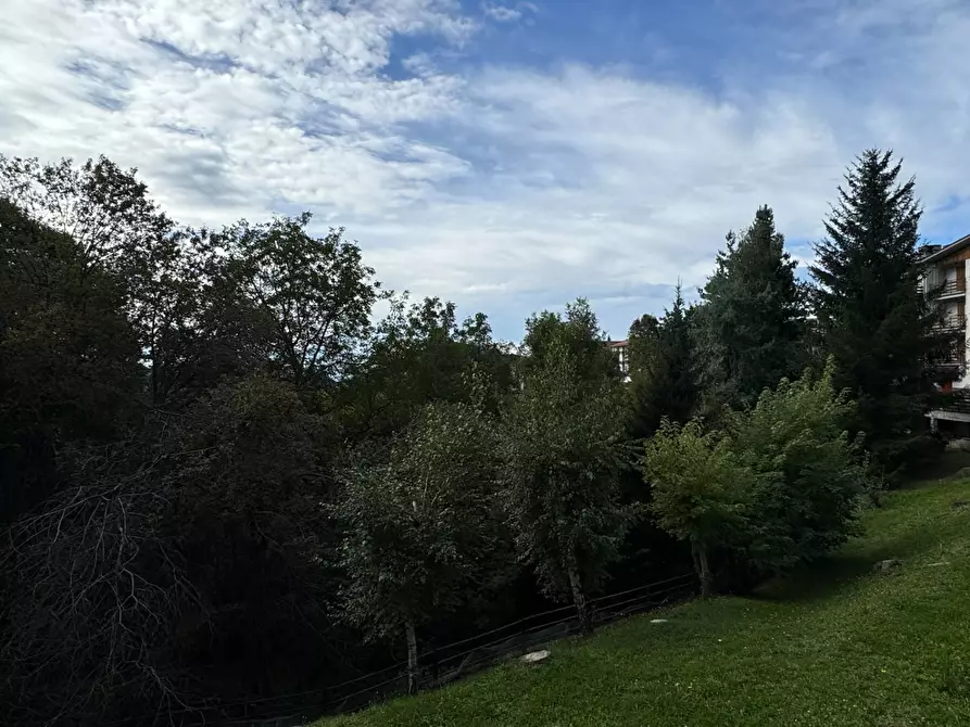 Immagine 17 di Appartamento in vendita  in Via Giangirone a Roburent