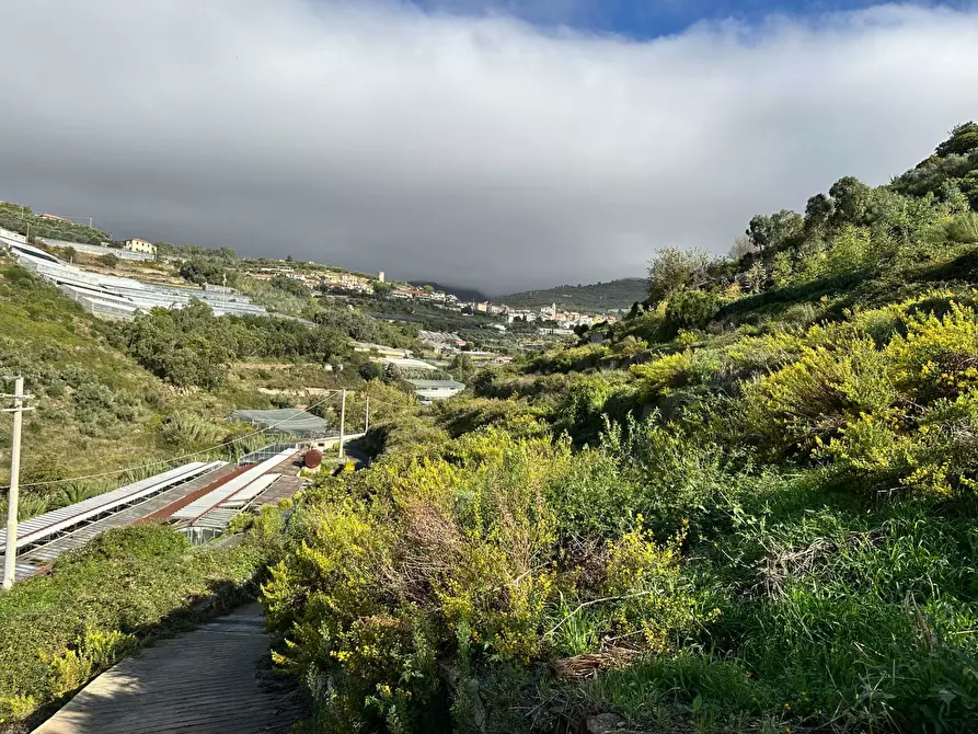 Immagine 18 di Casa indipendente in vendita  in via Ortassi a Santo Stefano Al Mare