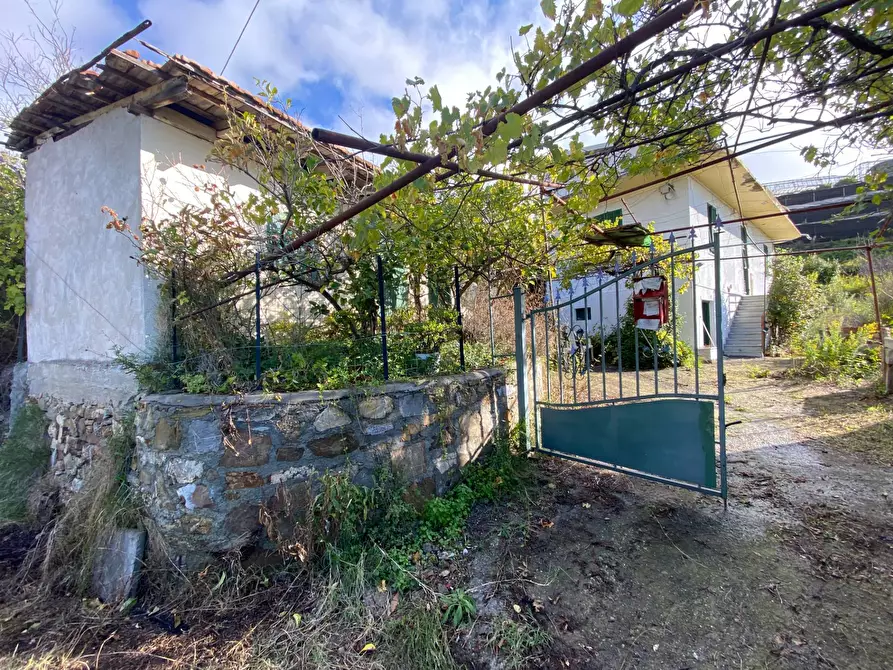 Immagine 3 di Casa indipendente in vendita  in via Ortassi a Santo Stefano Al Mare