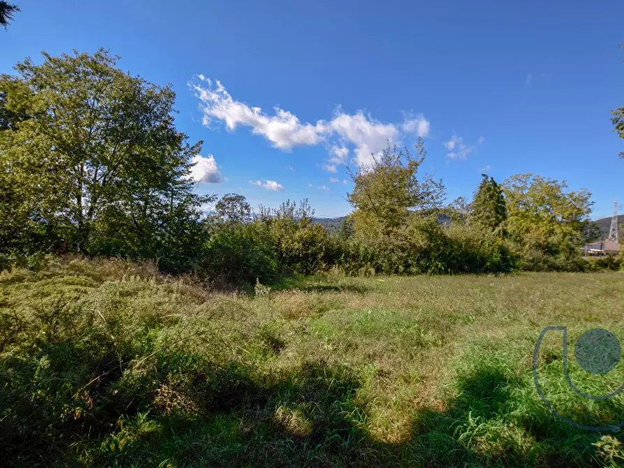 Immagine 26 di Villa in vendita  in Via Podio a Pino Torinese